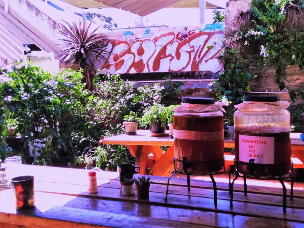 Zen Harmony House Sydney Hotel Eksteriør billede